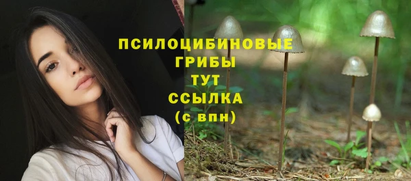 не бодяженный Богородск