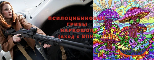 гашик Богородицк