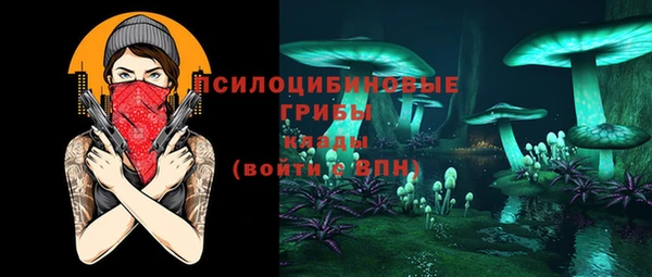 гашик Богородицк