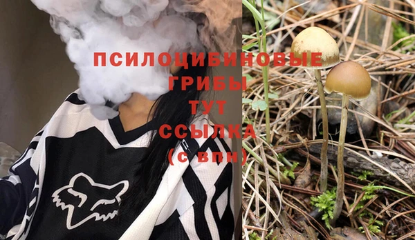 гашик Богородицк